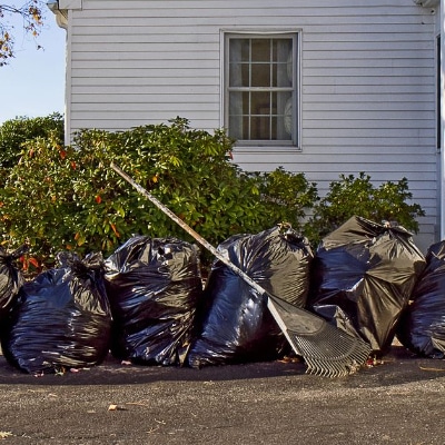 Yard Cleanup
